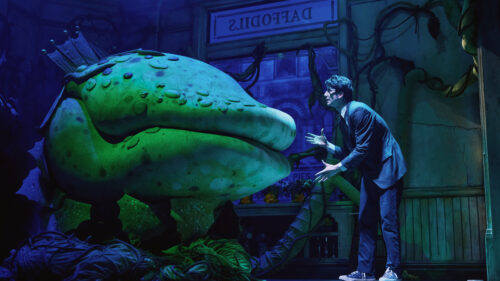 Milo Manheim as Seymour in Little Shop of Horrors. © Emilio Madrid