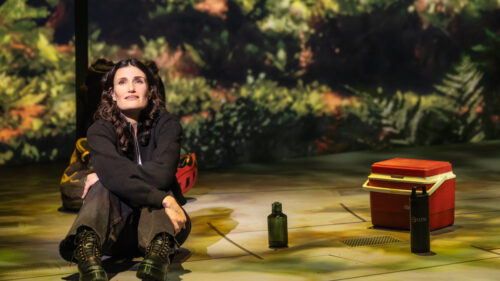 Idina Menzel as Jesse in Redwood. © Matthew Murphy and Evan Zimmerman for MurphyMade